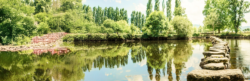 Stone path over a pond in the middle of a tree-lined park.