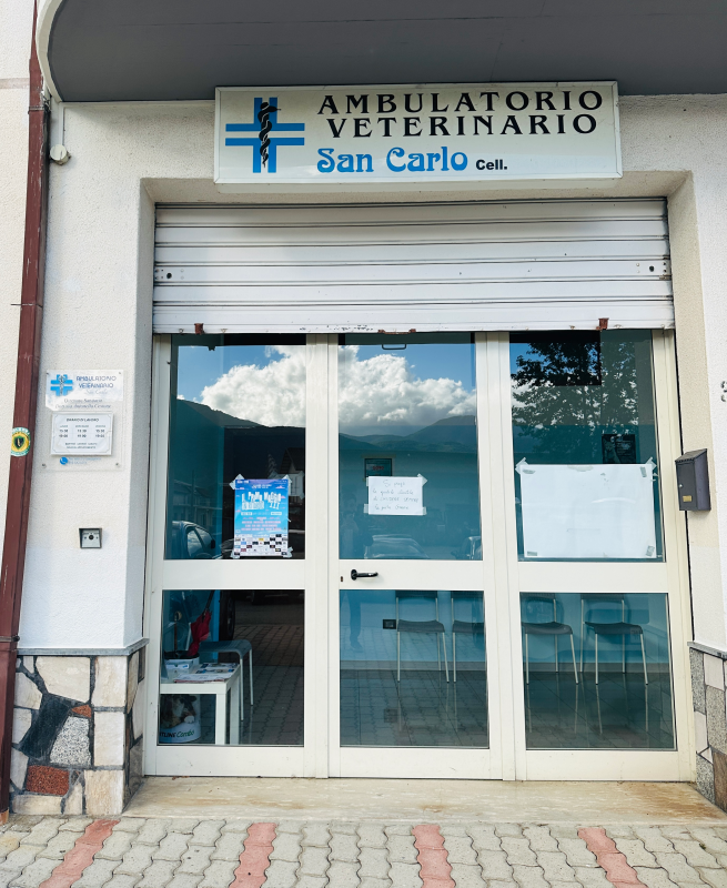 Images Ambulatorio Veterinario San Carlo