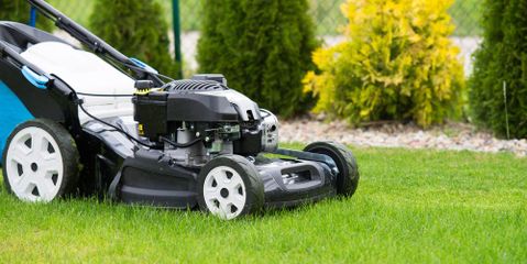 3 Powerful Reasons to Make Lawn Care a Priority Sharp Lawn Inc. Nicholasville (859)253-6688