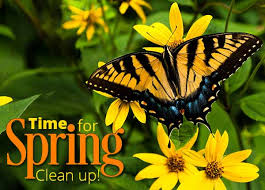 Spring!!! Call today get your new landscape project going.  Spring clean up... Cosme Landscape Maintenance Alsip (708)636-6720
