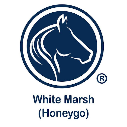 The Goddard School of White Marsh - Honeygo Image