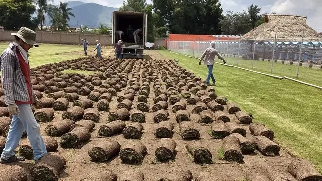 Images Pasto En Rollo Rancho Aranda