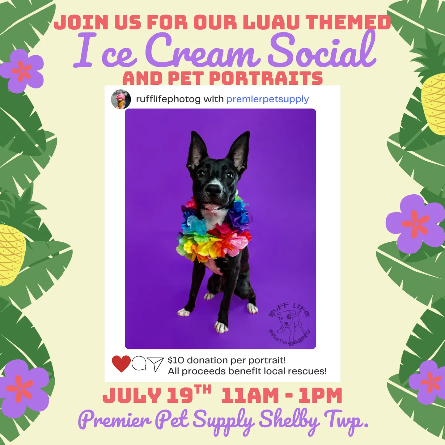 Image of Local Pet Event LUAU ICE CREAM SOCIAL W/ RUFF LIFE PHOTO  | SHELBY TWP Nearby