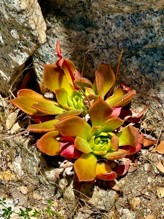 Images Brent Maudlin - State Farm Insurance Agent