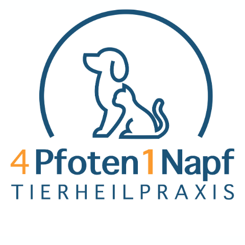 4Pfoten1Napf - Tierheilpraxis  in Plettenberg Logo