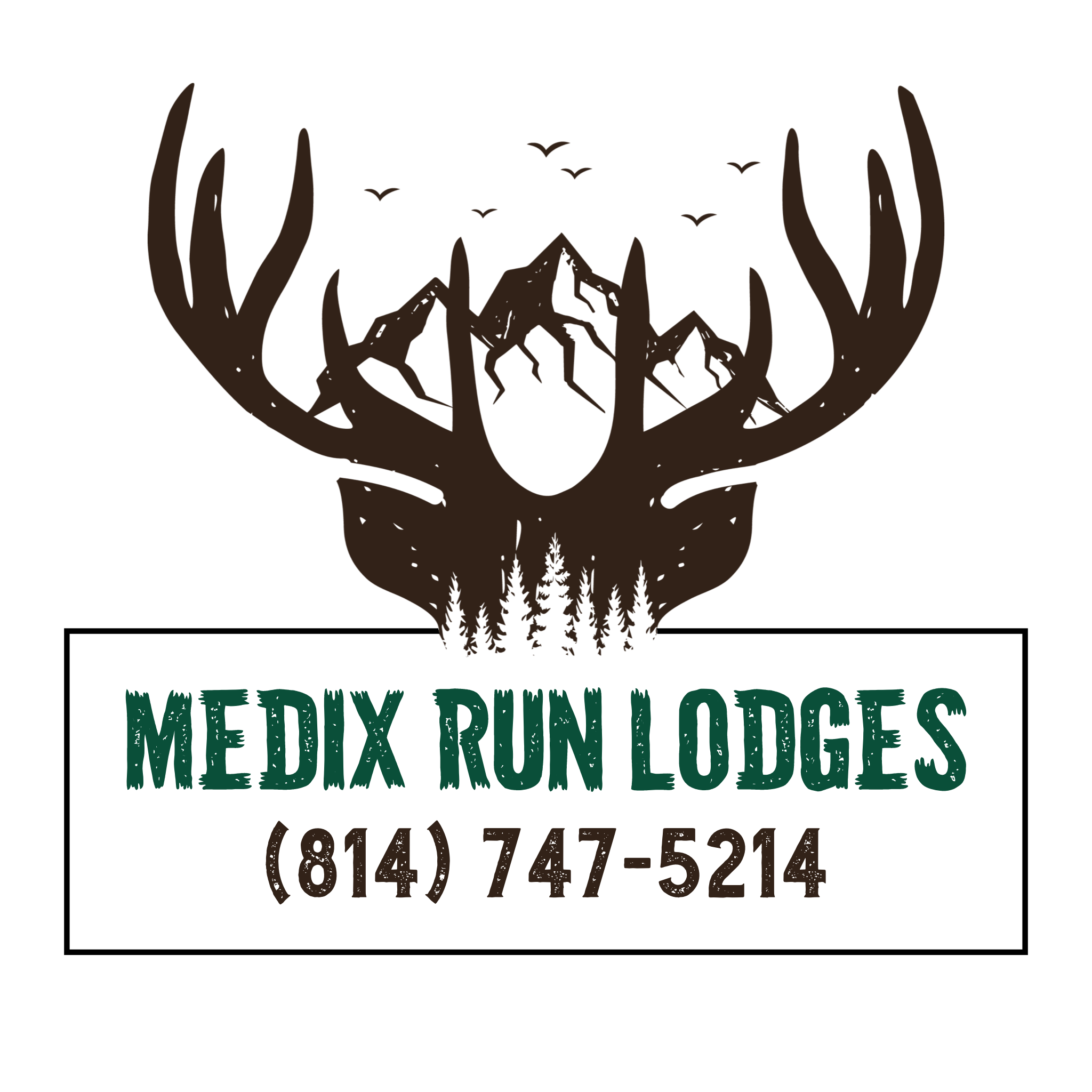 Medix Run Lodges and Cabins