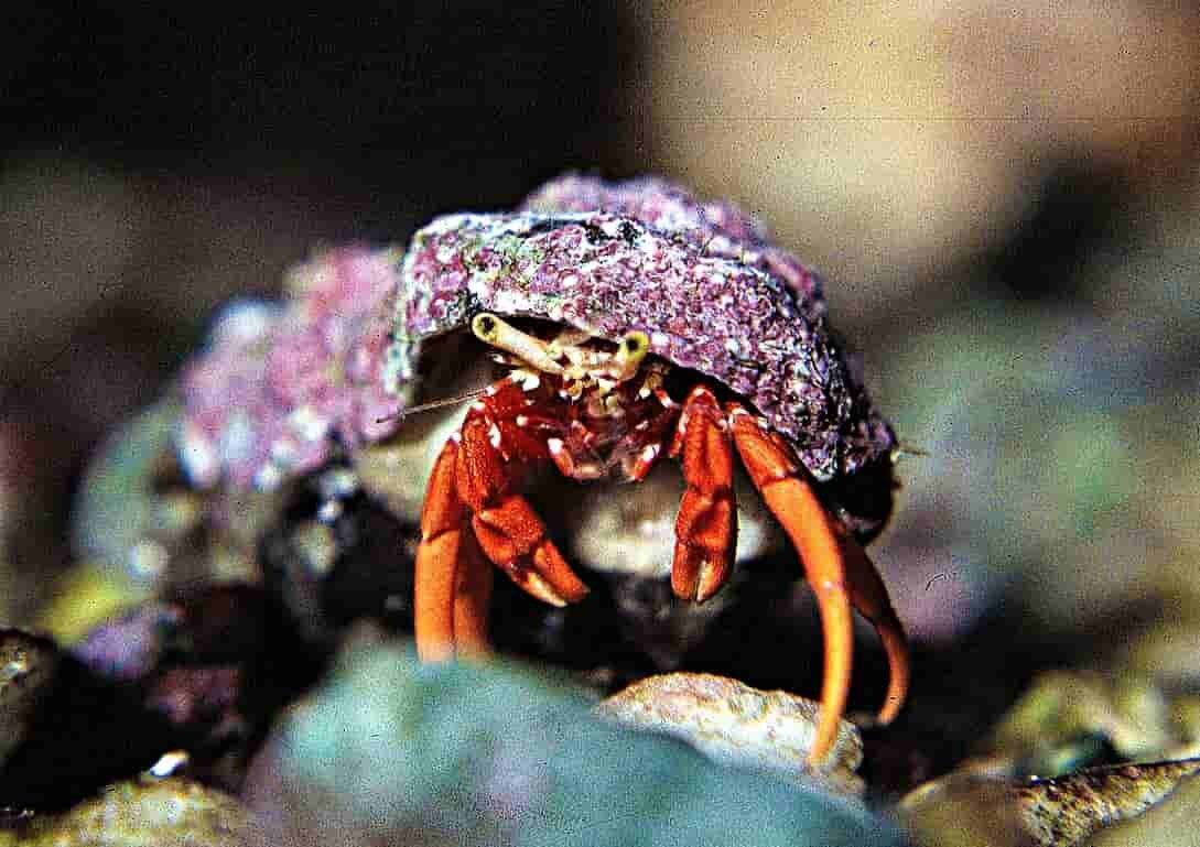 S&L Naturverlag, Bergrat-Mahr-Straße 17 in Ilmenau