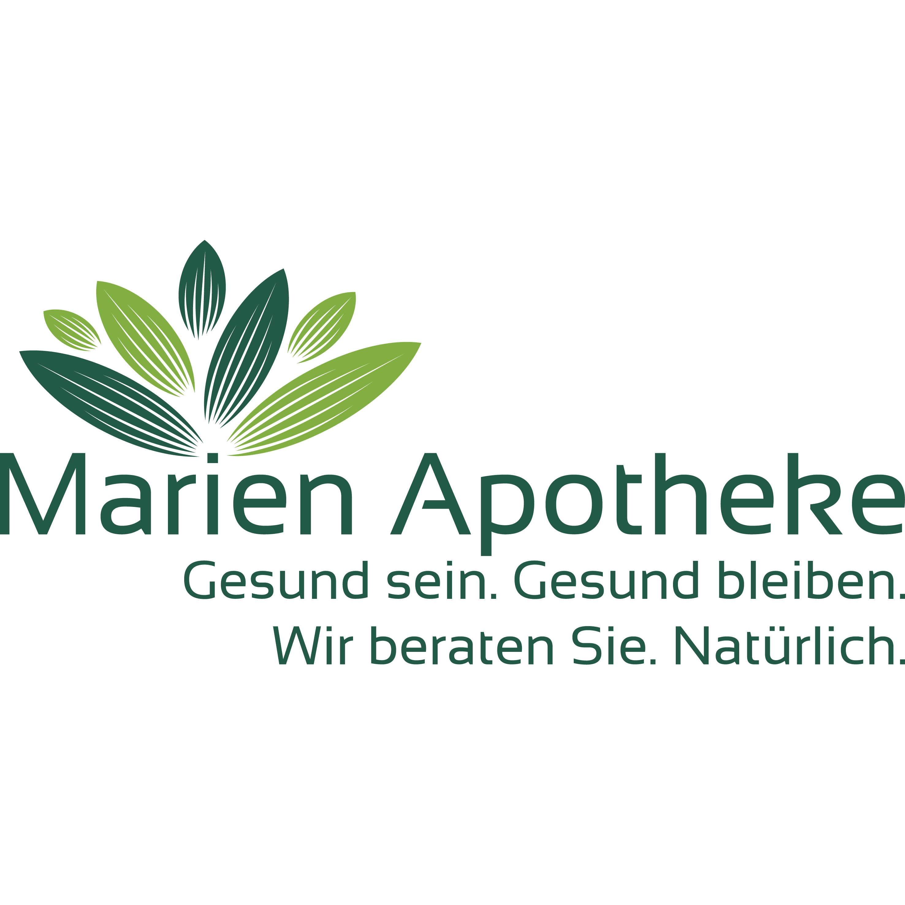 Marien-Apotheke in Wenden