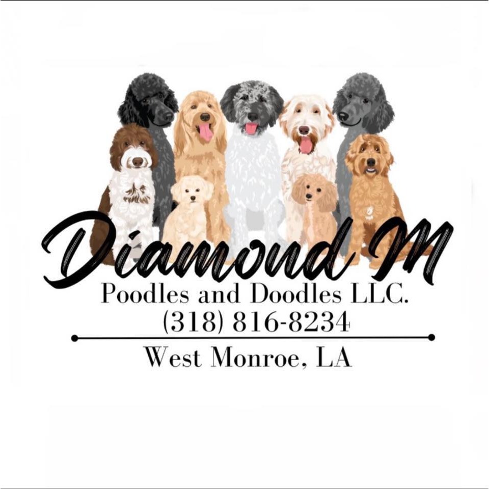 Diamond M Poodles and Doodles