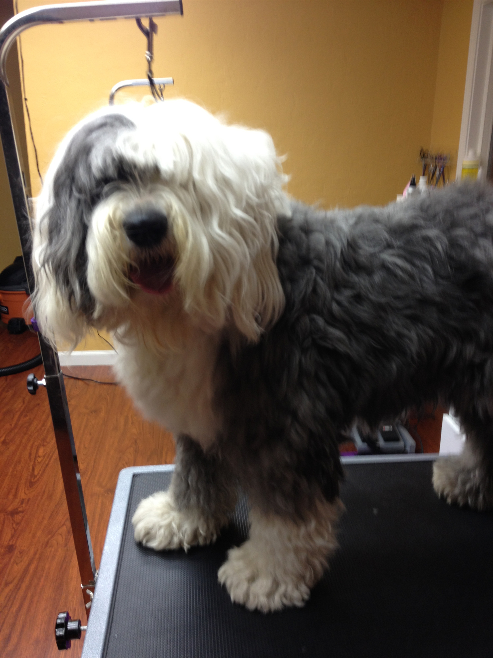 Harry's before picture.