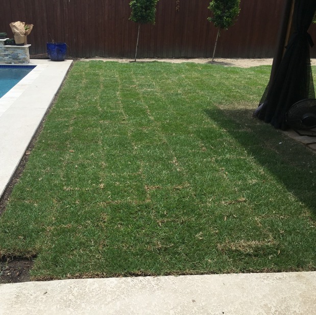 Images II Guys Landscaping