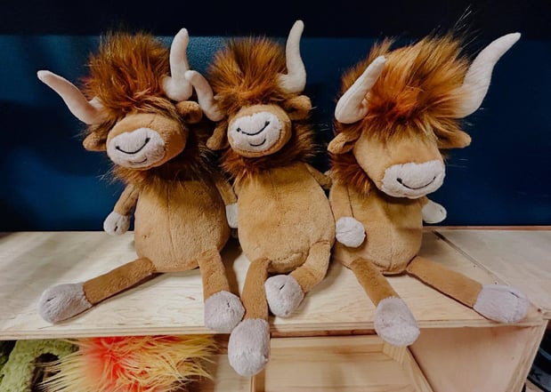 Images Doc Taylor's Toy Emporium