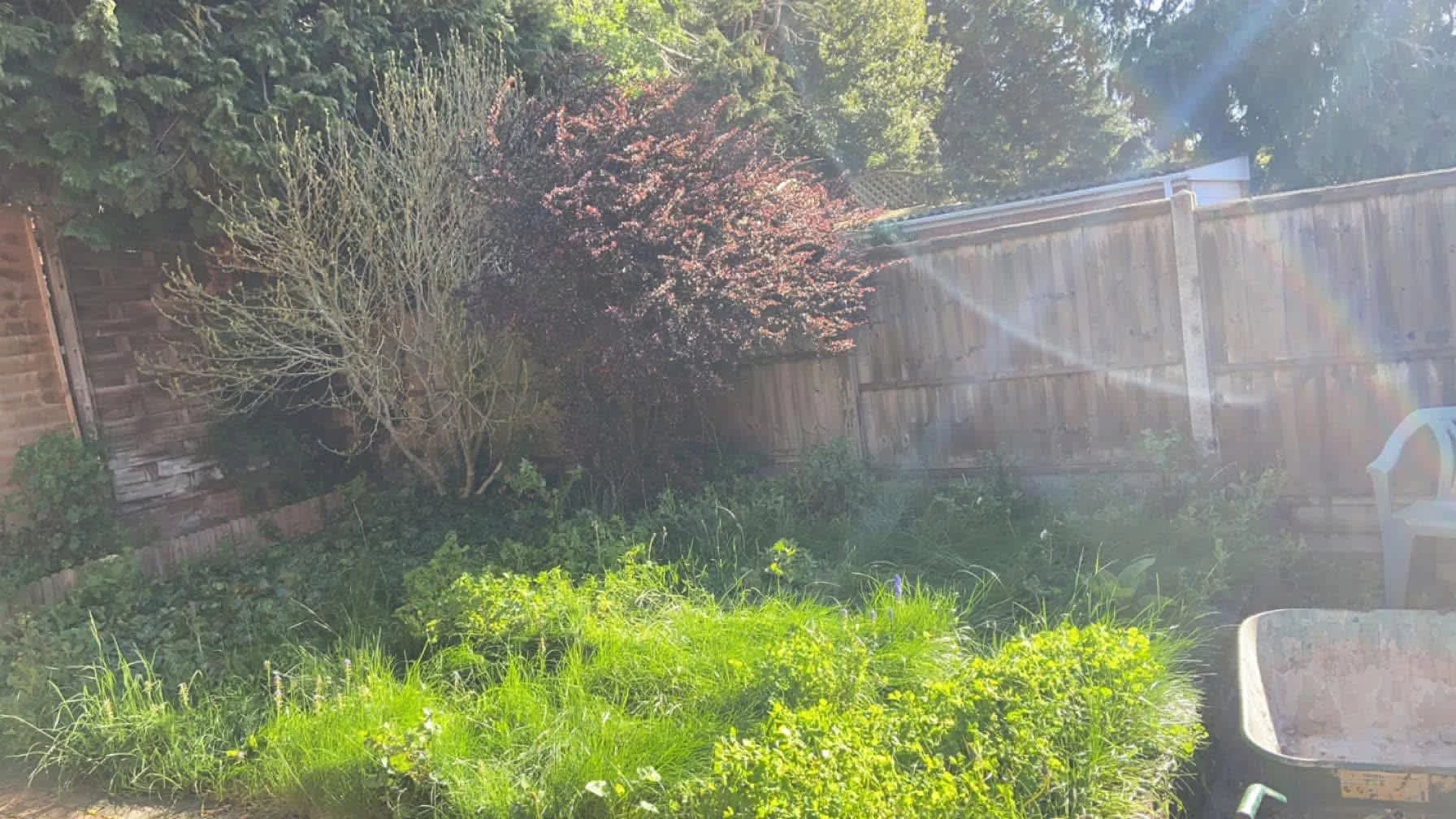 Images Oakwood Tree & Landscaping Services