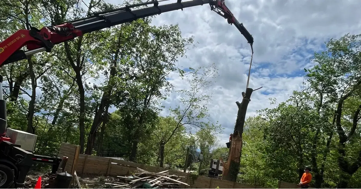 Emergency Tree Service in Pittsburgh, PA