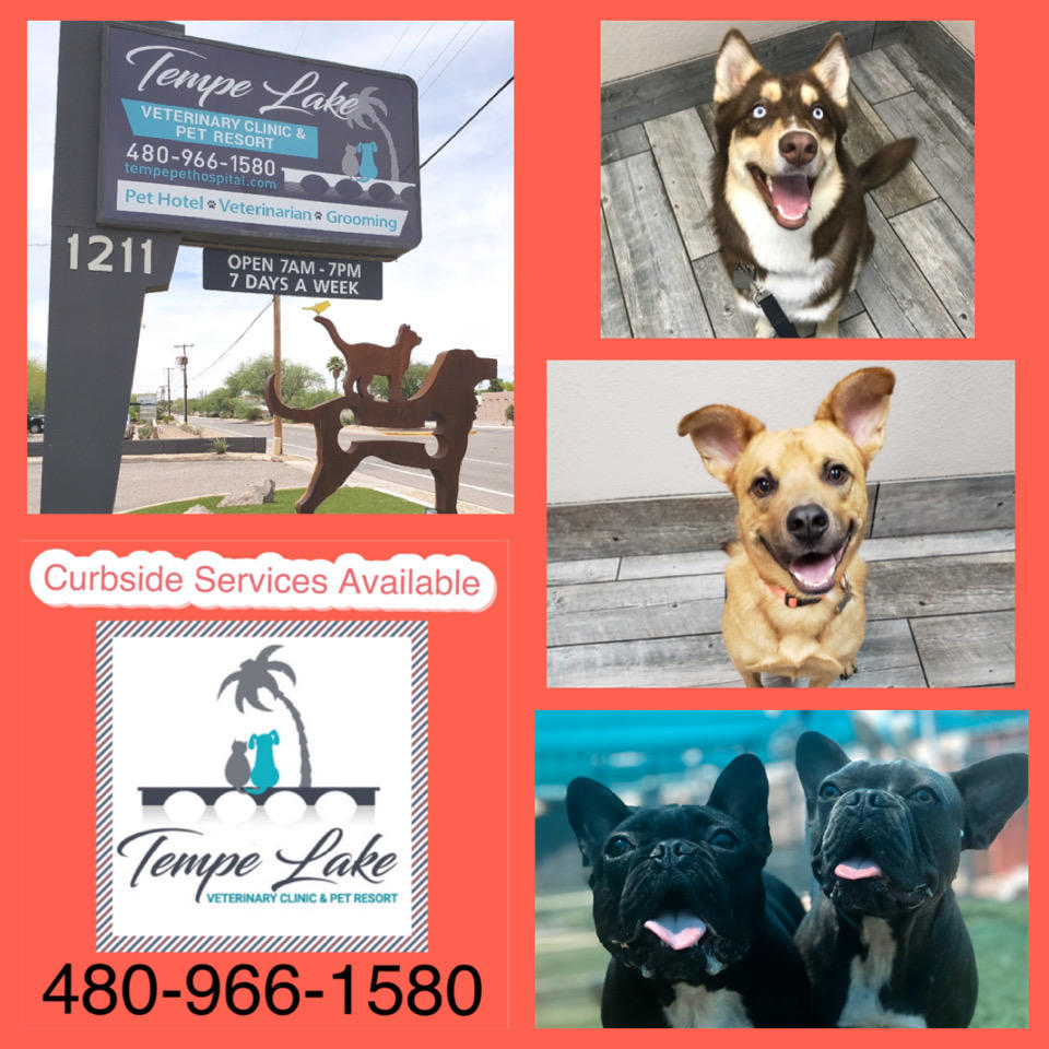 Tempe Lake Veterinary Clinic & Pet Resort Photo