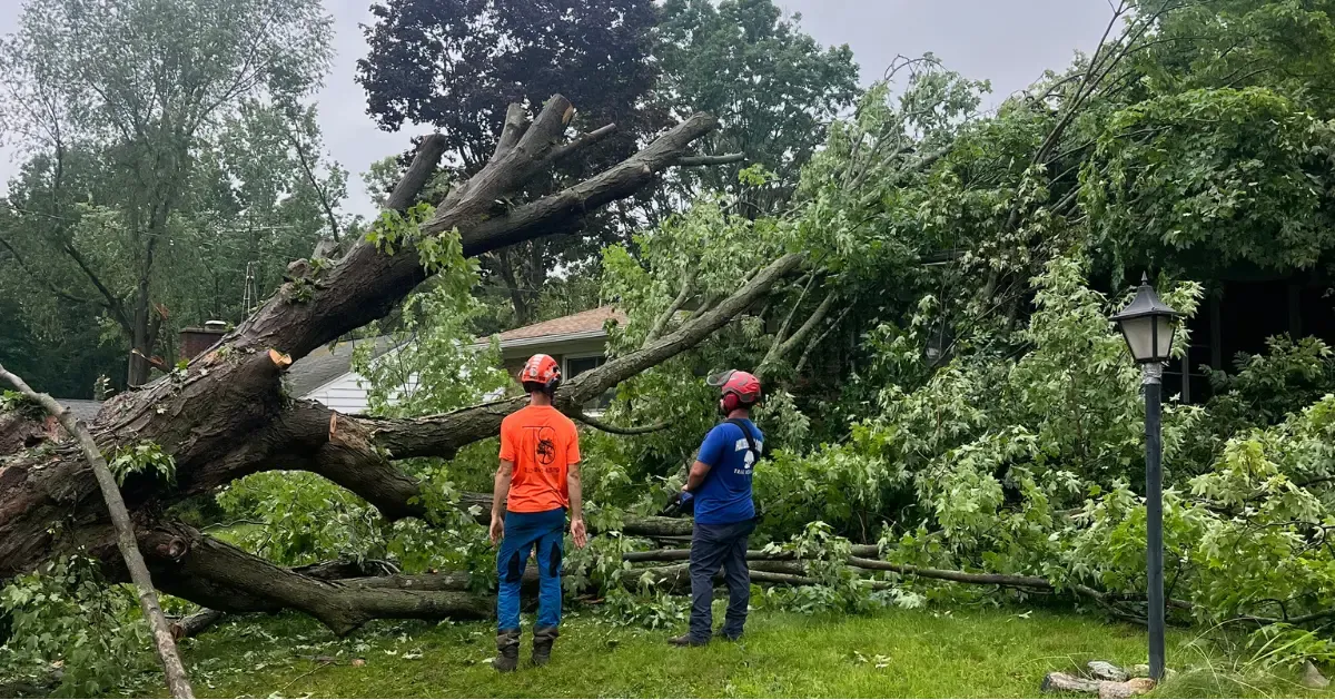 Emergency Tree Services in Fenton and Southeast Michigan