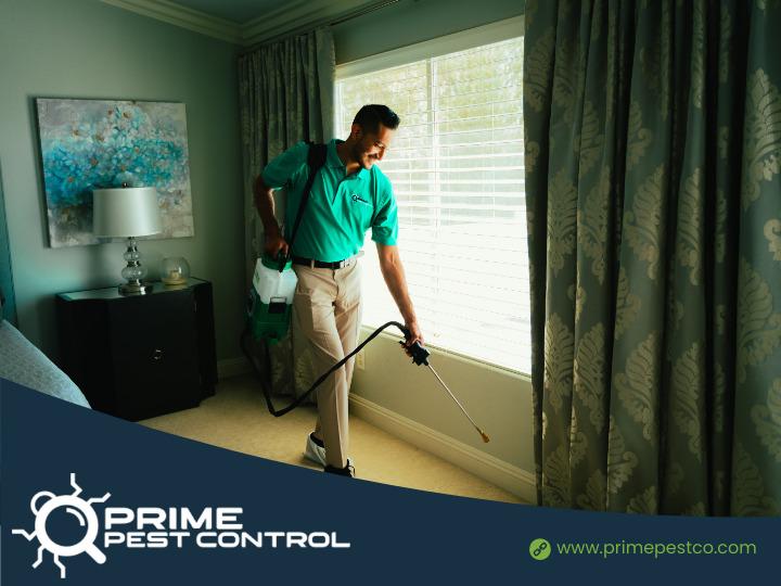 Images Prime Pest Control Las Vegas