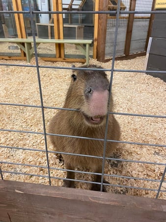 Images Visit Lakeville Minnesota