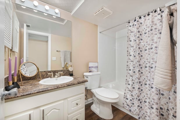 Images MAA Carrollwood