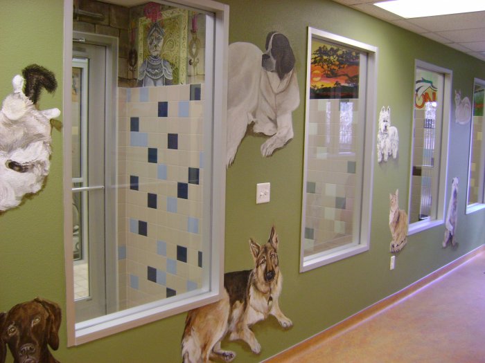 Images VCA Fort Collins Animal Hospital