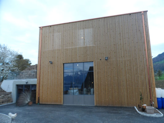 HOLZBAU PHILIPP UND WOLFGANG STALDER AG, Rigistrasse 96 in Weggis