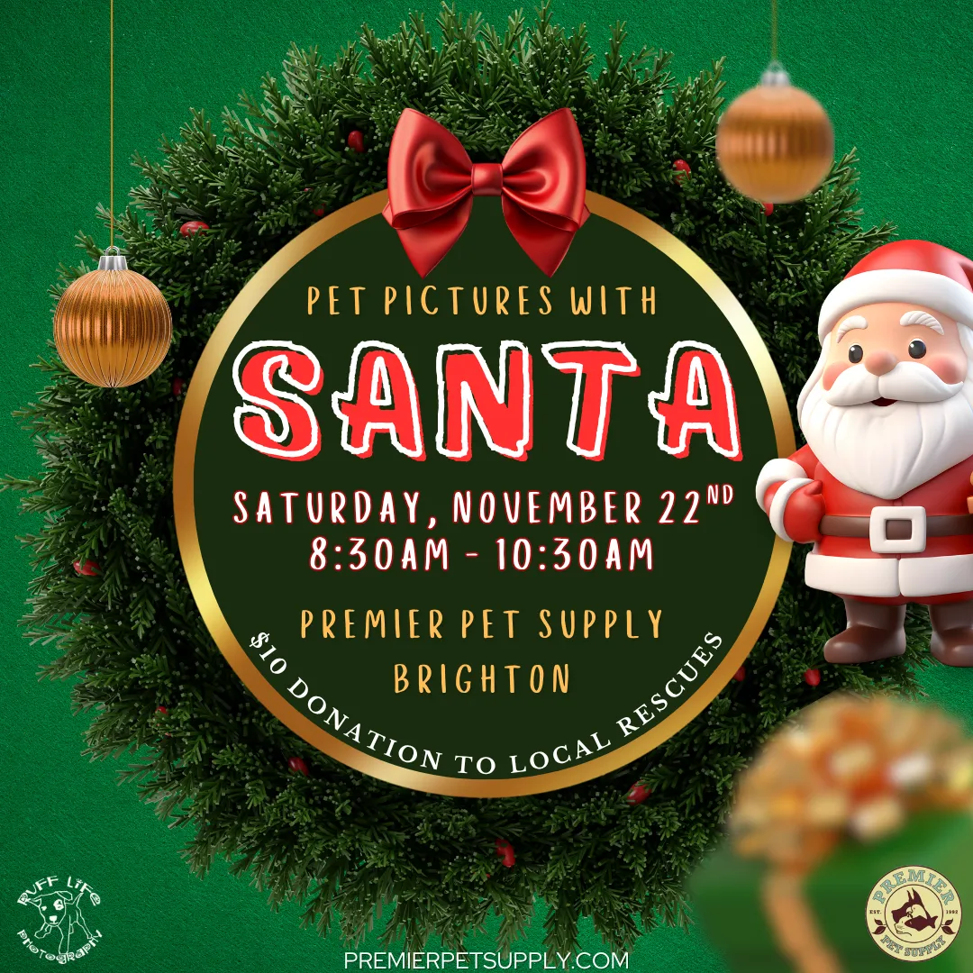 Image of Local Pet Event PET PHOTOS W/ SANTA & RUFF LIFE PHOTOGRAPHY | BRIGHTON Nearby