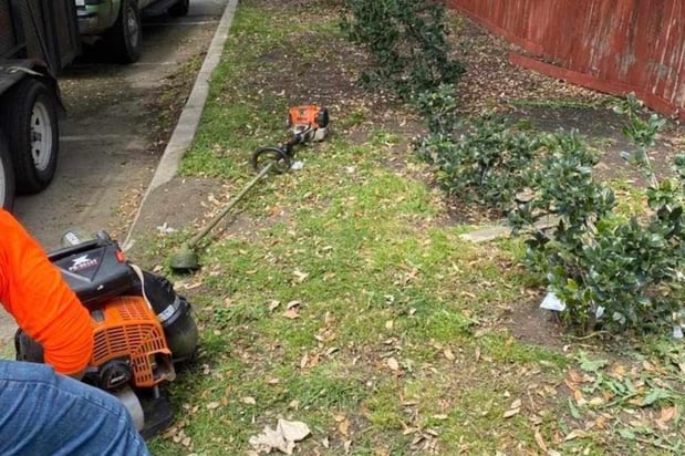 Images Plant Care, Commercial Landscape Maintenance