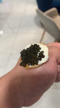 Images Lavish Gastronomy privé