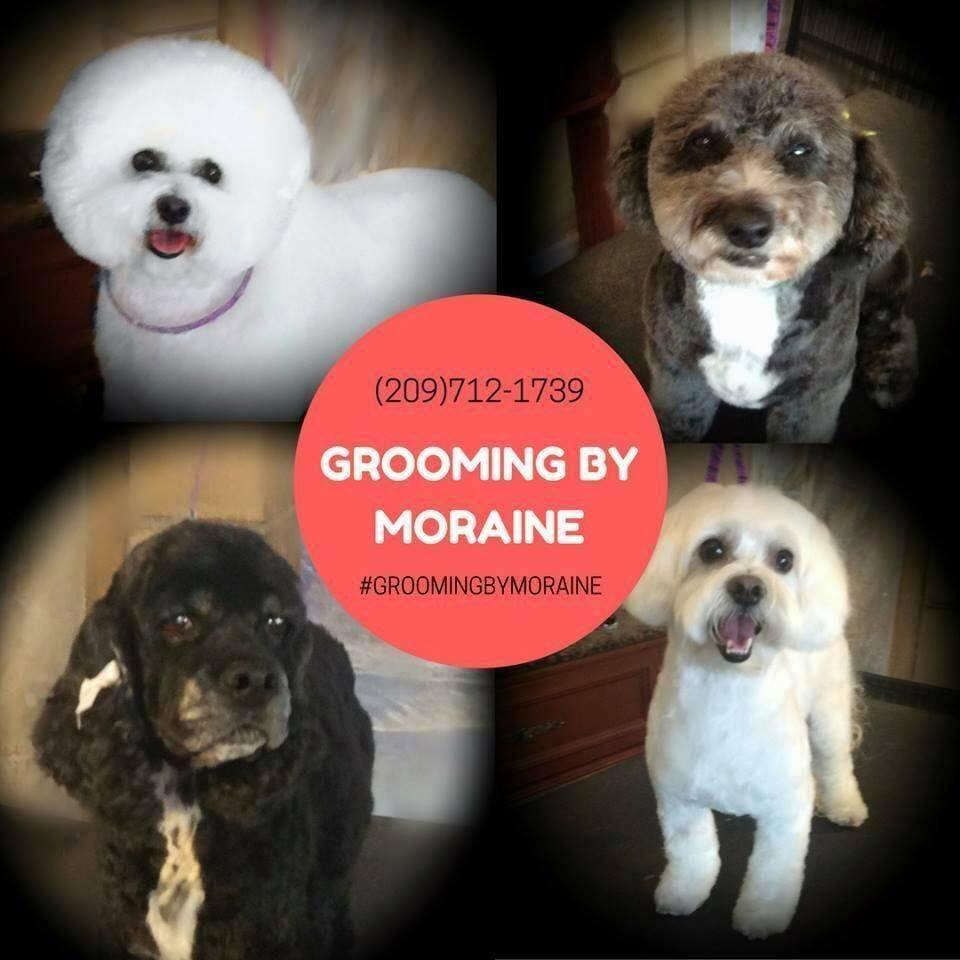 Grooming By Moraine
