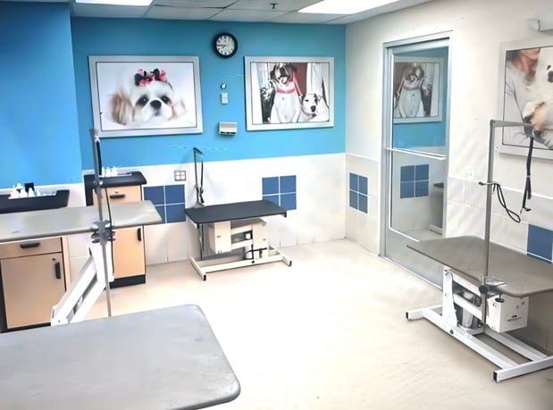 Images Petco
