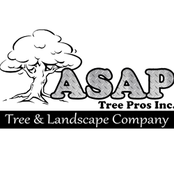 ASAP Tree Pros Inc. Tree & Landscape Company Logo
