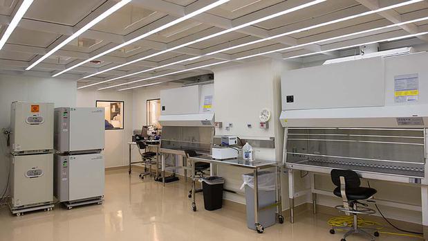 Images Mathews Center for Cellular Therapy (MCCT)
