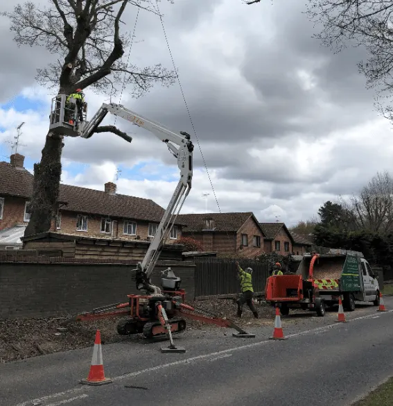 Images S P Landscapes & Tree Contractors