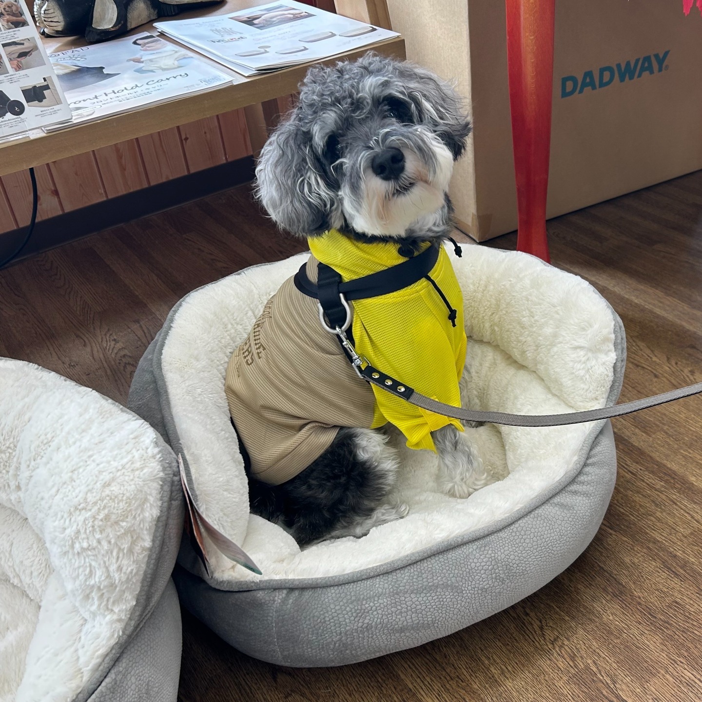 Images たまとポチ 宇津木店