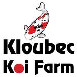 Kloubec Koi Logo