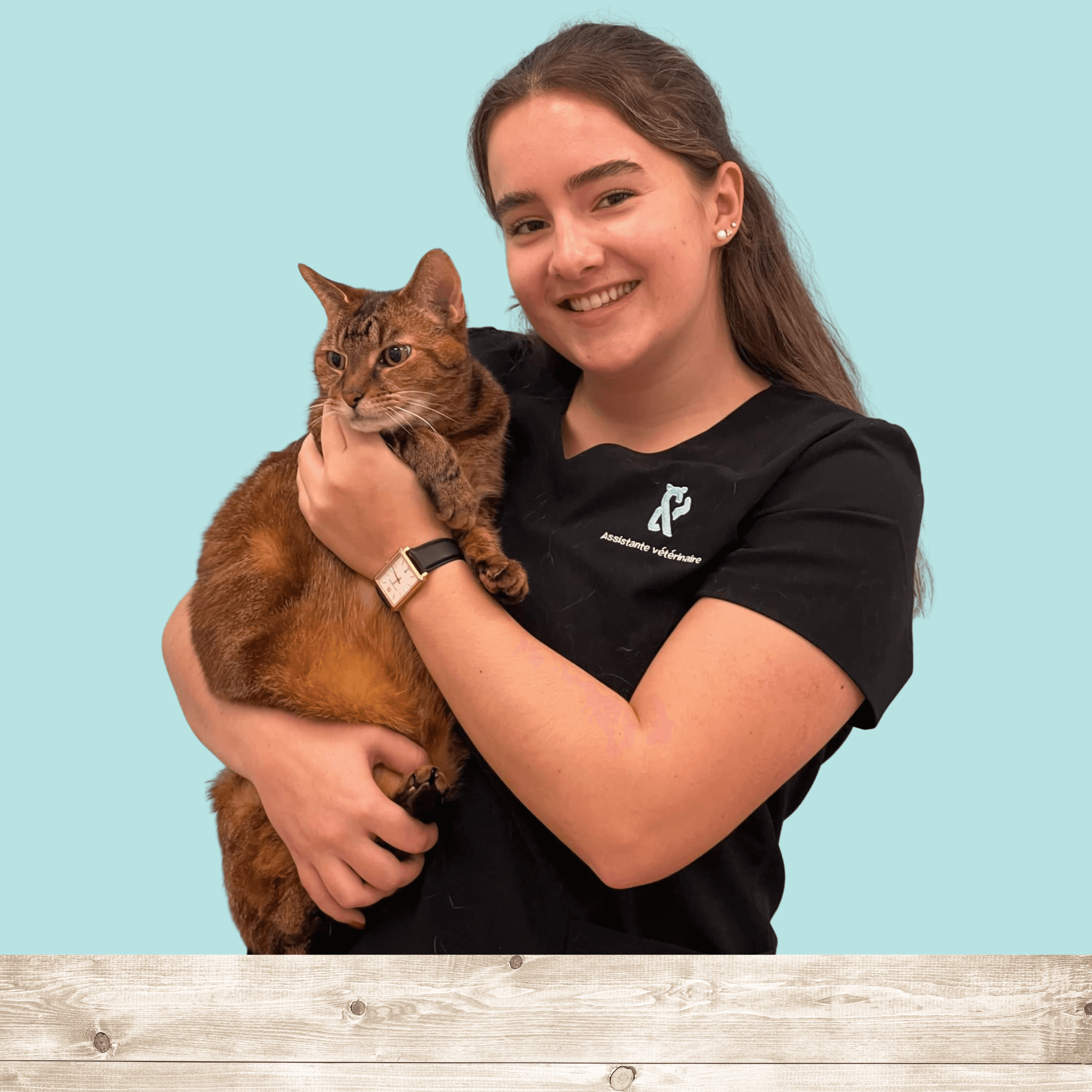Images Vet & Cie Brossard | Vétérinaire indépendant & québécois, Toilettage, Parc canin, Urgences chiens et chats | Montérégie