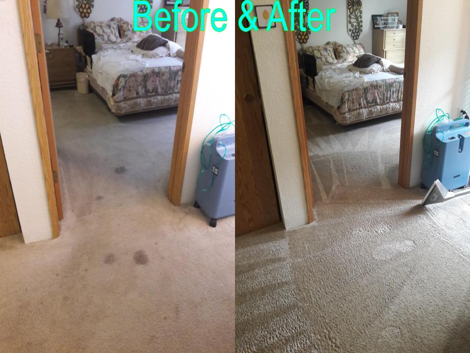 Able Body Carpet & Restoration Photo