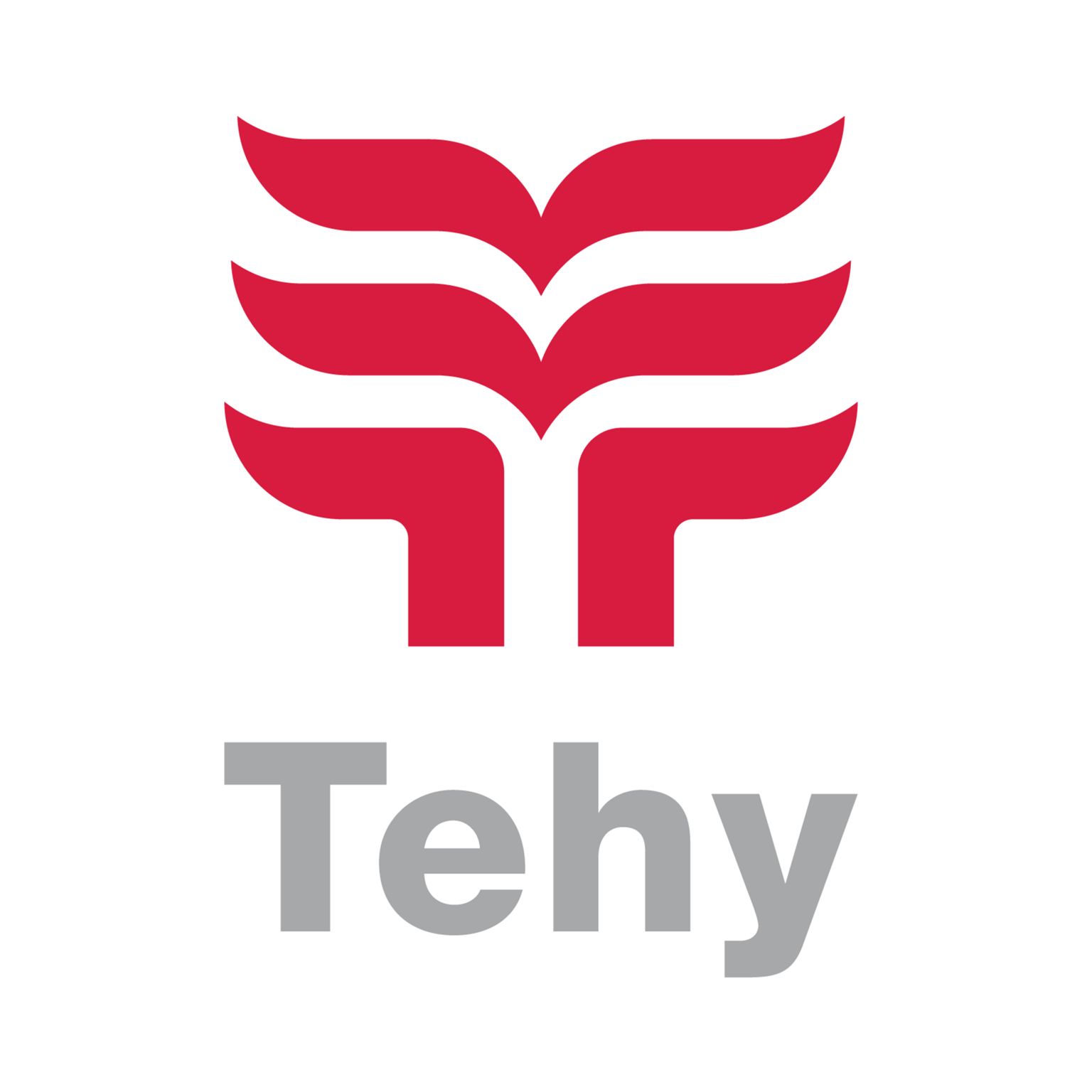 Tehy ry Helsingin aluetoimisto Logo