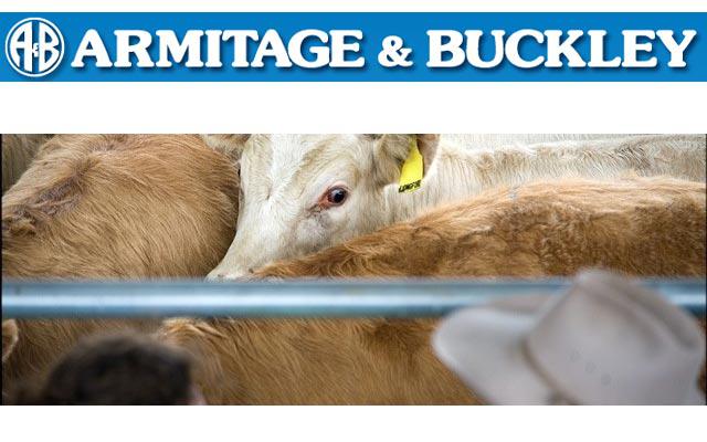 Images Armitage & Buckley