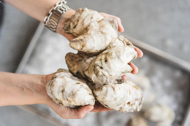 Images Murphy’s Irish Pub