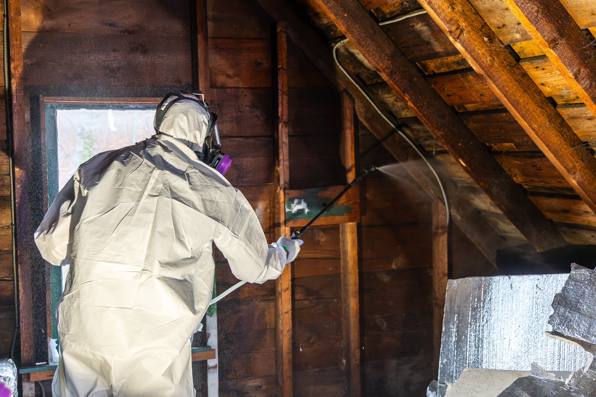 Professional treatment application during a CT Mold Remediation Specialists project in Connecticut. 