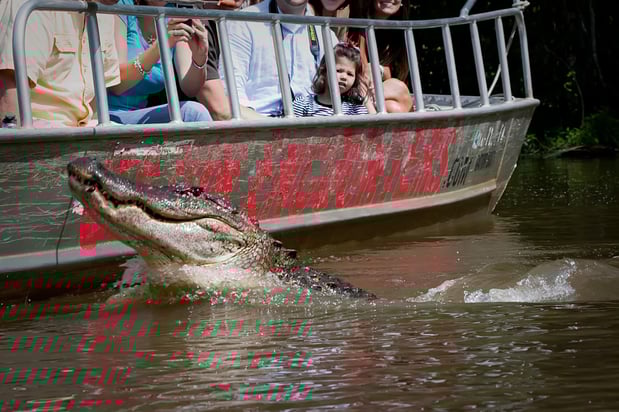 Images Cajun Encounters Tour Company