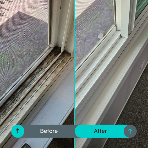 Images Peak Performance Cleaning