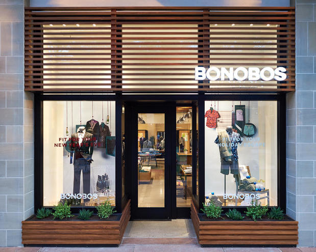 Images Bonobos