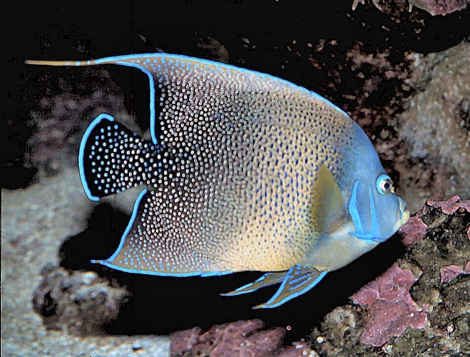 S&L Naturverlag, Bergrat-Mahr-Straße 17 in Ilmenau