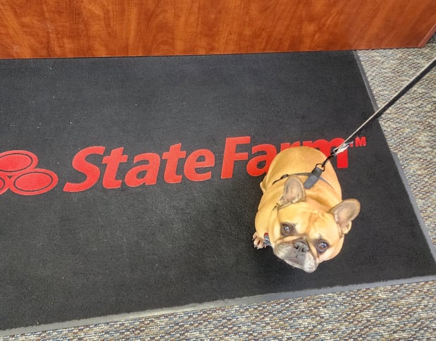 Images Carrie Murray - State Farm Insurance Agent