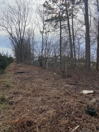 Images Ventura Tree Services LLC