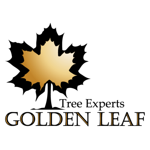 Golden Leaf Tree Experts