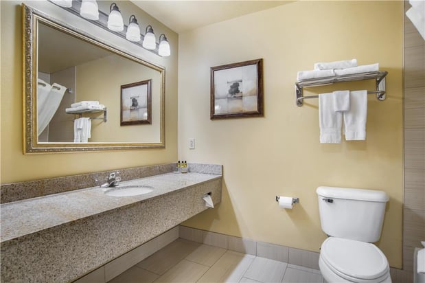 Images Best Western Plus Bessemer Hotel & Suites