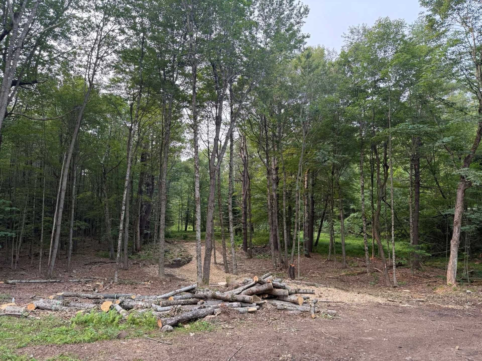 Willett's Forest and Property Maintenance LLC Image